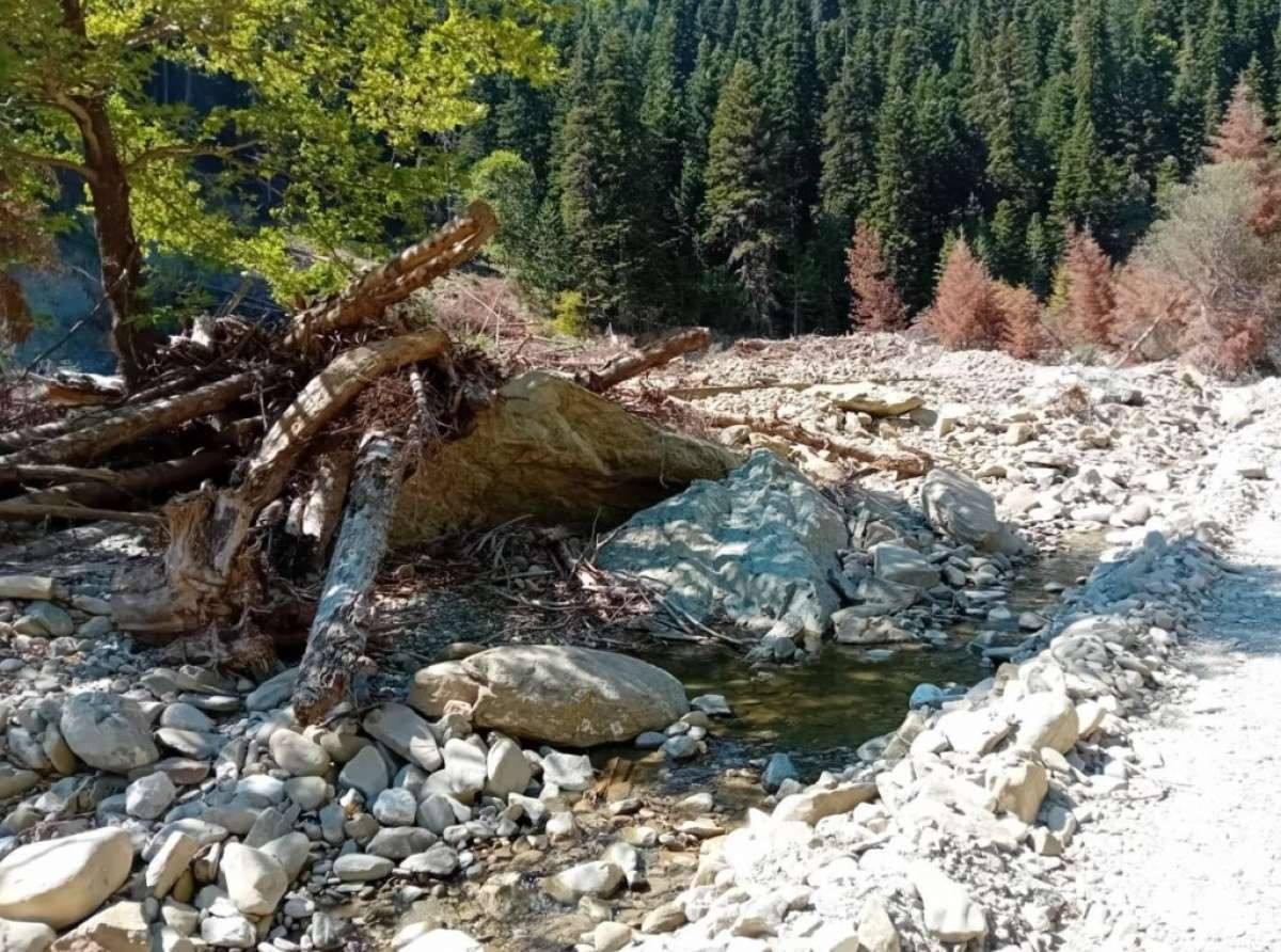 Την άμεση αποκατάσταση των ζημιών από τον Daniel ζητούν οι κάτοικοι του Ασπροποτάμου (ΦΩΤΟ)