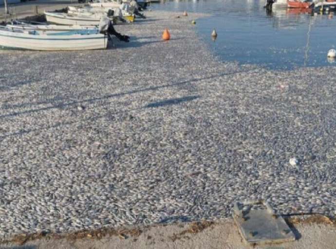 Καθ' οδόν προς Λάρισα οι επαγγελματίες των Αλυκών - Διαμαρτυρία στην Περιφέρεια