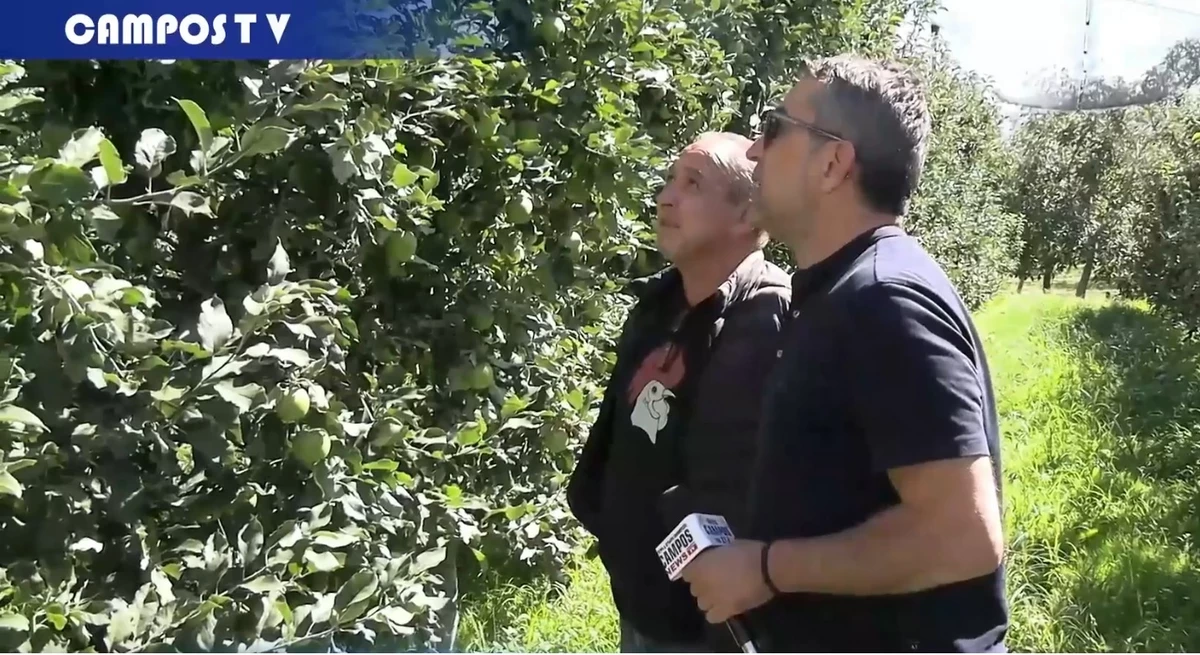 Ενότητα και αγώνας διαρκείας για τους μηλοπαραγωγούς της Αγιάς - Η κάμερα του CamposNews στο χωράφι (VIDEO) 