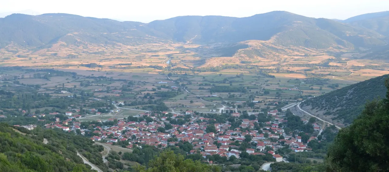 Επαρχιακός Σύνδεσμος Αγροτών στην Ελασσόνα - Στα κάγκελα οι αμυγδαλοπαραγωγοί  