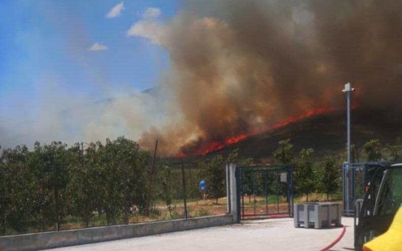 Από το βράδυ υπό πλήρη έλεγχο η φωτιά στο Βαθύρεμα Αγιάς
