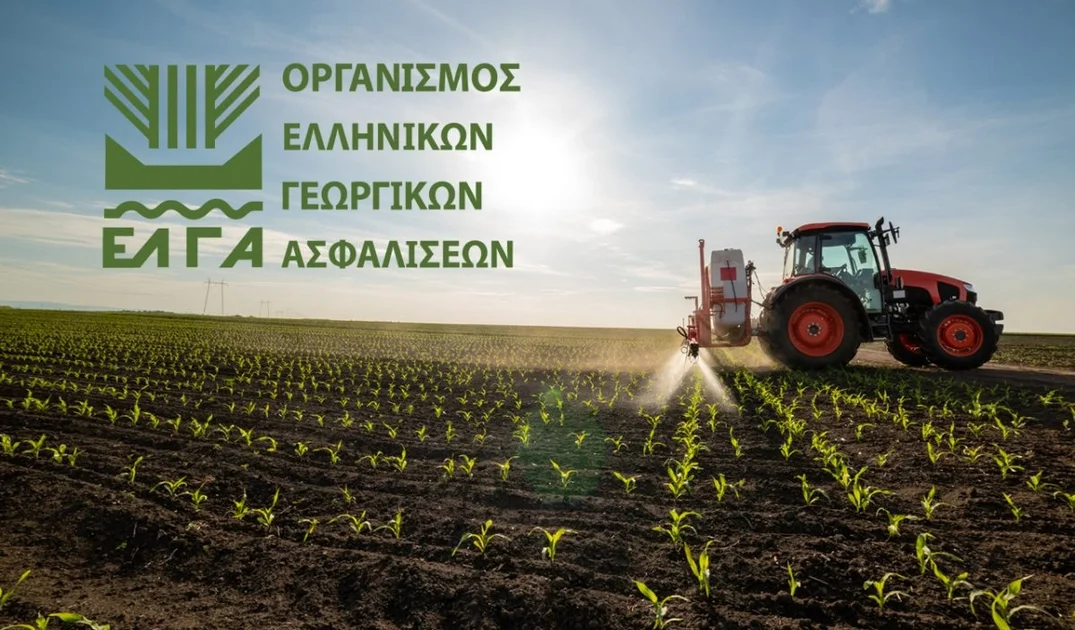 ΕΛΓΑ: Πληρωμή 8,7 εκατ. € για εκτιμήσεις κι επανεκτιμήσεις ζημιών σε φυτική παραγωγή και ζωικό κεφάλαιο του 2024