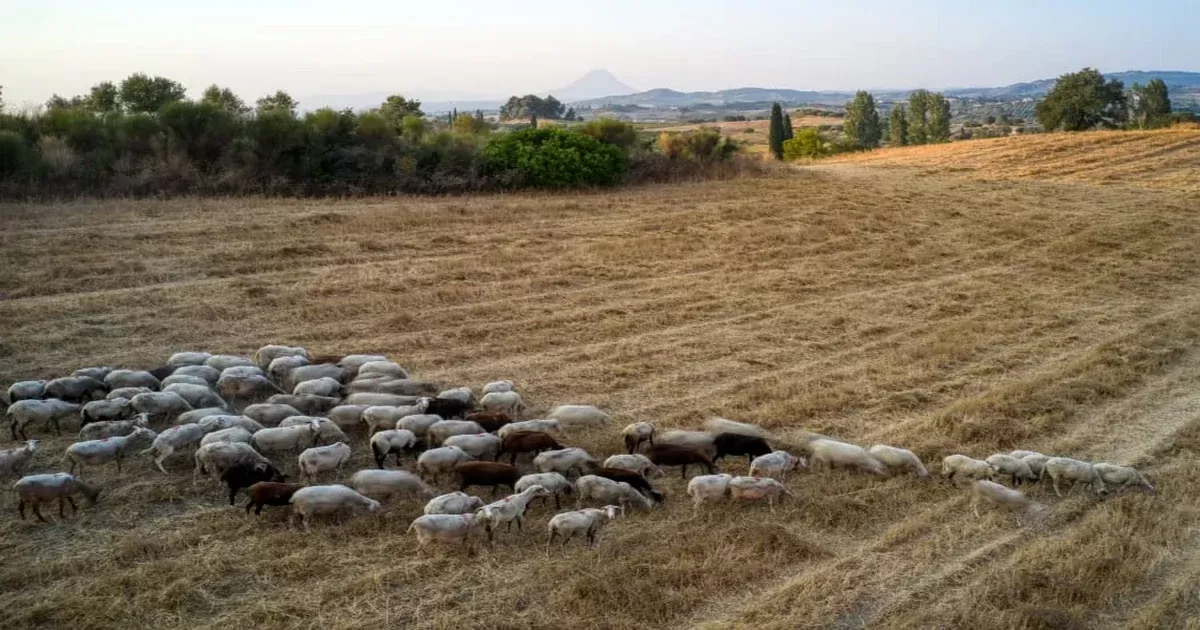 Προς Προανακριτική για ΟΠΕΚΕΠΕ - Ποιος πρώην υπουργός βρίσκεται στο στόχαστρο 