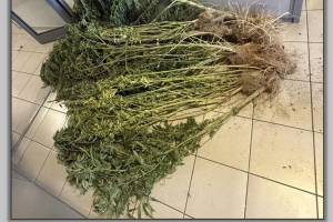 PHOTO_1_original