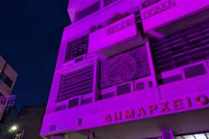 Dimarxeio_Fotismos_Roz_4_original