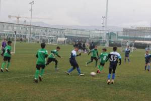 IMG_2454_original
