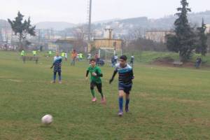 IMG_2455_original