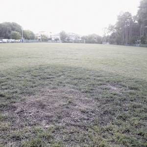 ABEROF_15_original