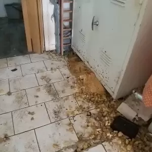 takis_niki16_original