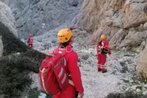 202504110712487353_original